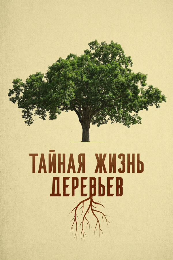 Деревья: гении мира природы