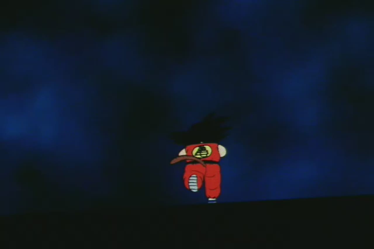 Goku Enters The Ring