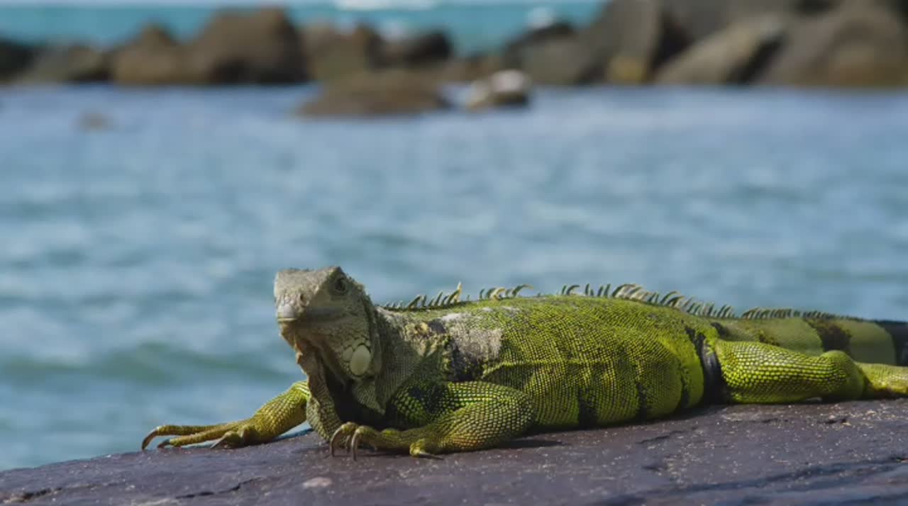 Puerto Rico