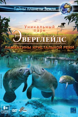 Эверглейдс 3D: Ламантины Кристальной реки 3D