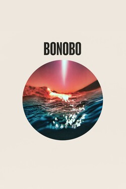 Bonobo