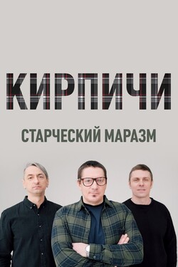 Кирпичи