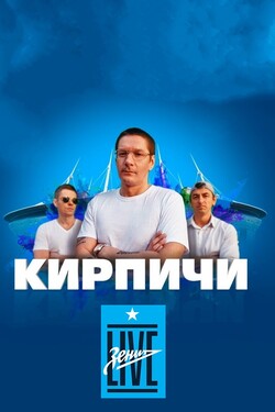 Кирпичи