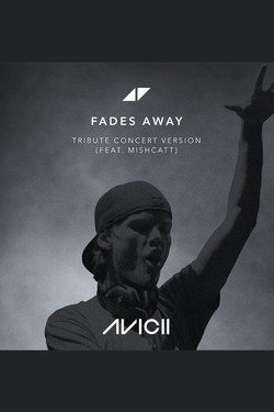 Avicii Tribute Concert