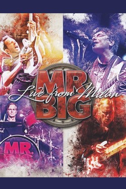 Mr. Big