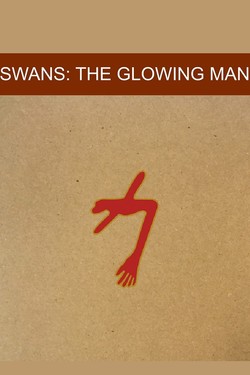 Swans