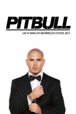 Pitbull