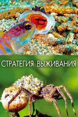 Стратегия выживания