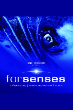 Forsenses