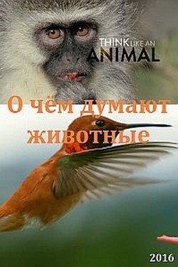 О чём думают животные