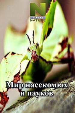 Viasat Nature: Мир насекомых и пауков