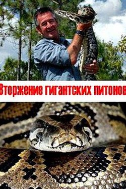 Вторжение гигантских питонов