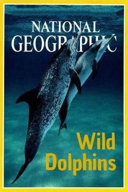 Nat Geo Wild: Дикие дельфины