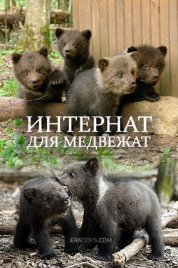 Интернат для медвежат