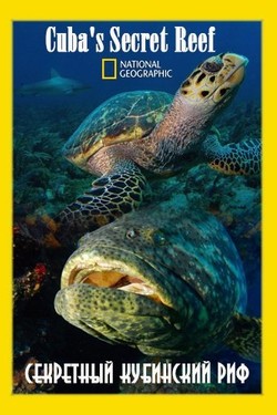 Nat Geo Wild: Секретный кубинский риф