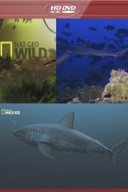 Nat Geo Wild: Самые опасные акулы