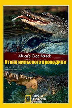 National Geographic. Атака нильского крокодила