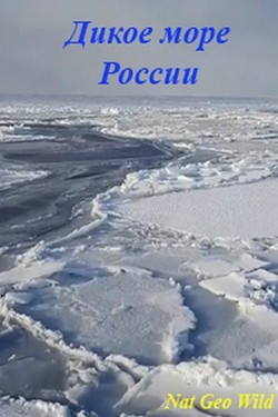 Дикое море России