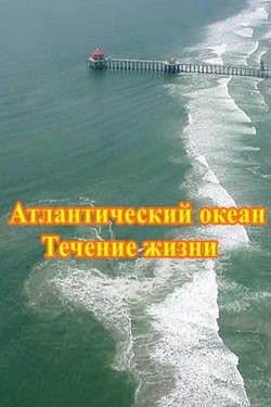 Атлантический океан. Течение жизни