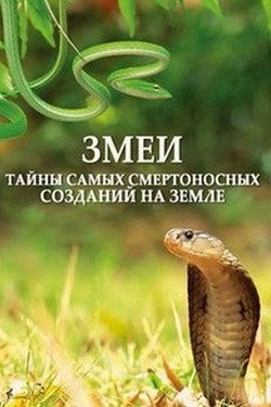 Змеи. Тайны самых смертоносных созданий на земле