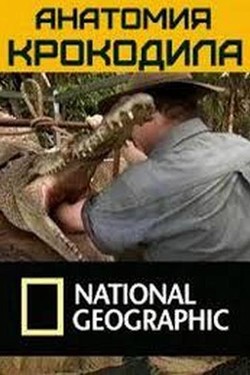 National Geographic. Анатомия крокодила