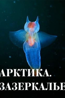 Арктика. Зазеркалье