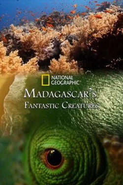 Nat Geo Wild: Фантастические существа Мадагаскара