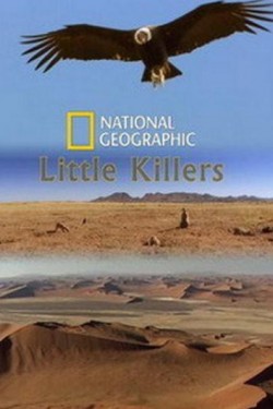 Nat Geo Wild: Маленькие убийцы