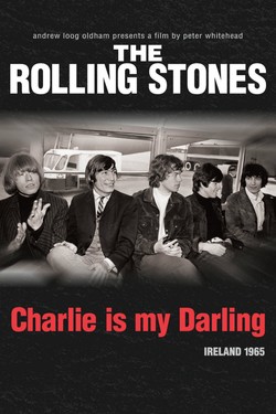 The Rolling Stones: Чарли — моя лапочка