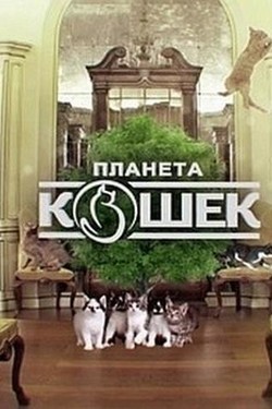 Планета кошек