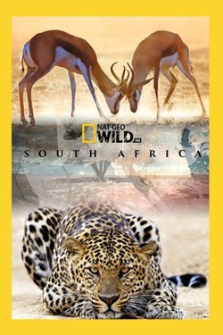 Nat Geo Wild: Дикая Южная Африка